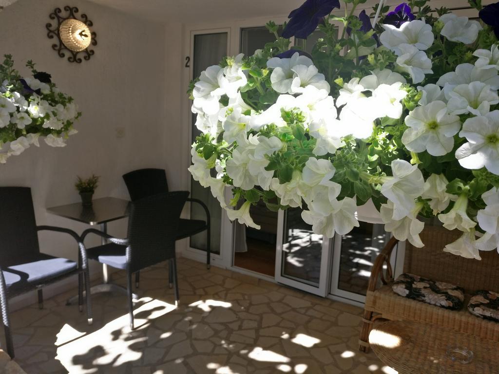 Apartments Ana - Rovinj Eksteriør bilde
